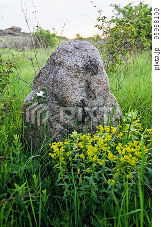 Stone idol in the steppe Stone idol in the steppe 95938109