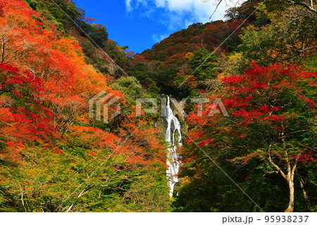 【岡山県】晴天の神庭の滝と紅葉 95938237