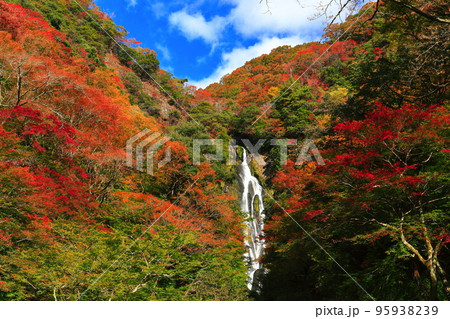 【岡山県】晴天の神庭の滝と紅葉 95938239