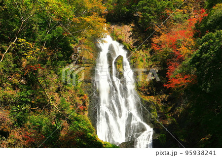 【岡山県】晴天の神庭の滝と紅葉 【岡山県】晴天の神庭の滝と紅葉 95938241