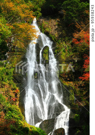 【岡山県】晴天の神庭の滝と紅葉 95938243