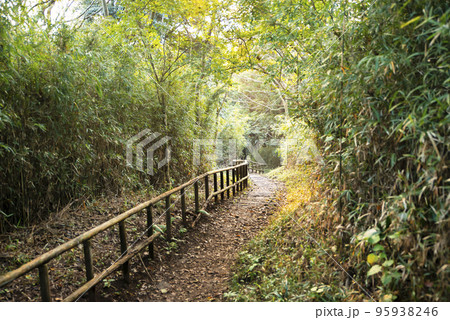 神奈川県鎌倉市の六国見山森林公園 95938246