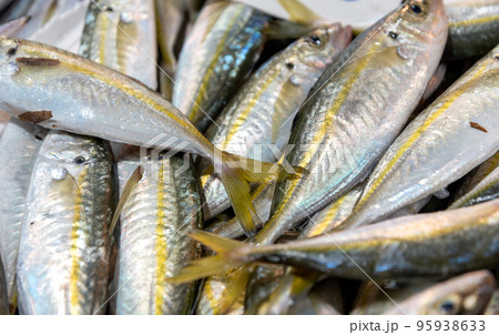 fresh fish at the fish market 95938633