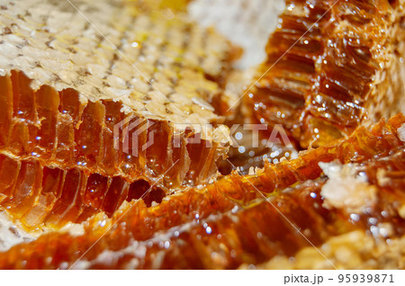 Gold honey in honeycomb closeup. Bee products with fresh honeycomb, honey products by organic natural ingredients Gold honey in honeycomb closeup. Bee products with fresh honeycomb, honey products by organic natural ingredients 95939871