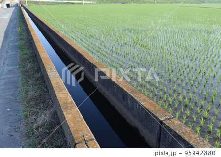農業用水路兼排水路 茨城県 農業用水路兼排水路 茨城県 95942880