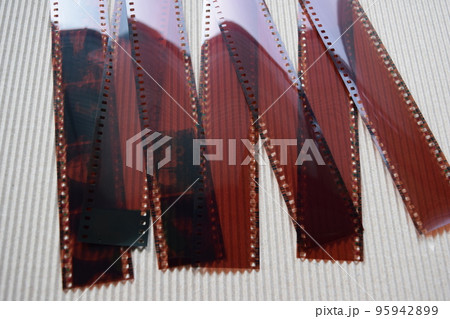 写真 ネガフィルム 95942899