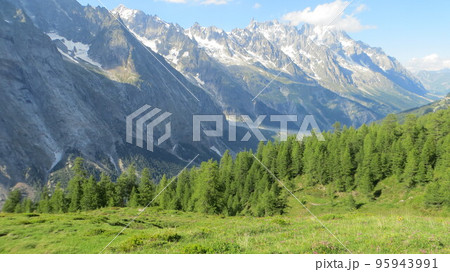 The Mont Blanc mountains rise above a forest of sunny green trees The Mont Blanc mountains rise above a forest of sunny green trees 95943991