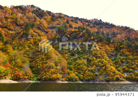 奥只見湖遊覧船から臨む湖畔の紅葉の秋景色 95944371