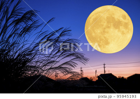 秋のお月見のイメージ。黄昏時に満月とススキと夕焼け。 95945193