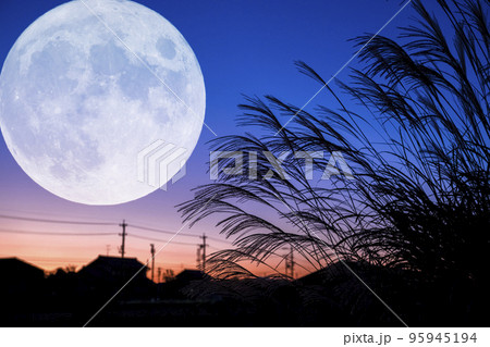 秋のお月見のイメージ。黄昏時に満月とススキと夕焼け。 秋のお月見のイメージ。黄昏時に満月とススキと夕焼け。 95945194