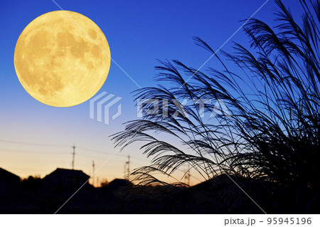 秋のお月見のイメージ。黄昏時に満月とススキと夕焼け。 95945196