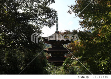 山口瑠璃光寺 秋紅葉の風景 山口瑠璃光寺 秋紅葉の風景 95945330