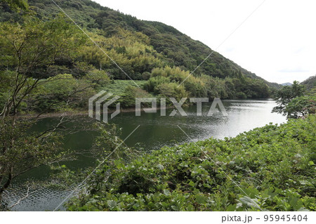 山口萩往還 一の坂ダムと錦鶏湖の秋風景 山口萩往還 一の坂ダムと錦鶏湖の秋風景 95945404