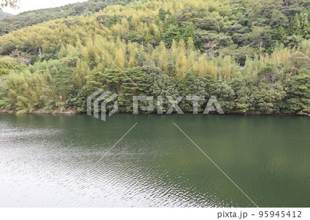 山口萩往還　一の坂ダムと錦鶏湖の秋風景 95945412