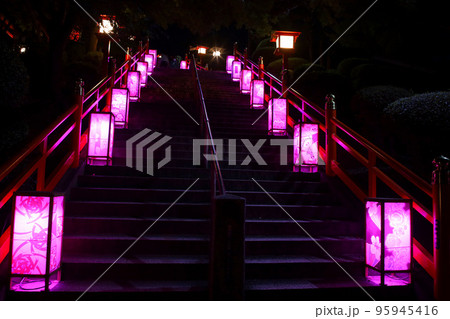 足利市　足利織姫神社の参道と行灯（日本夜景遺産） 95945416