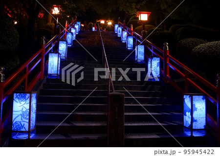 足利市　足利織姫神社の参道と行灯（日本夜景遺産） 95945422