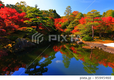 【島根県】晴天の由志園の紅葉 95945460