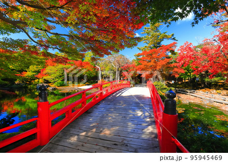 【島根県】晴天の由志園の紅葉 95945469