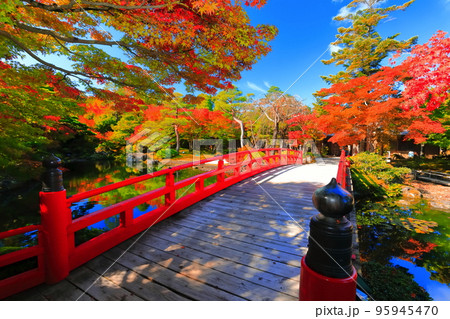 【島根県】晴天の由志園の紅葉 95945470