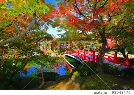 【島根県】晴天の由志園の紅葉 95945476