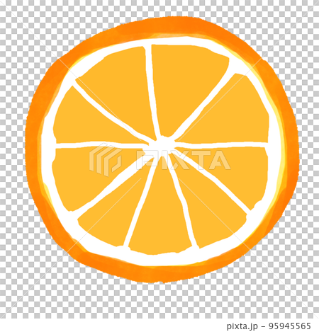 橘子切片圖 橘子切片圖 95945565