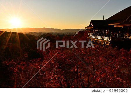 清水寺の紅葉 清水寺の紅葉 95946006