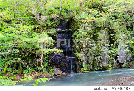青森県 十和田市 奥入瀬渓流 千筋の滝 青森県 十和田市 奥入瀬渓流 千筋の滝 95946403
