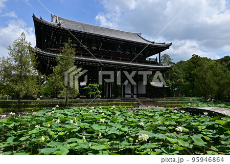 東福寺三門 東福寺三門 95946864