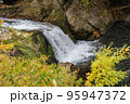 黄色い紅葉と滝 95947372
