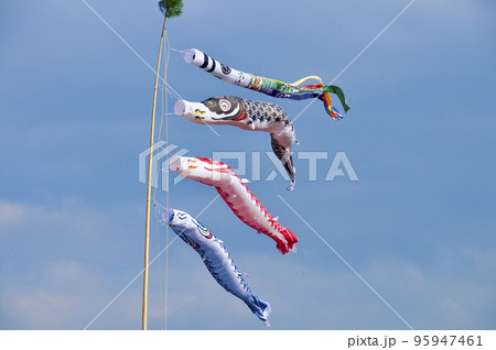 鯉のぼり 95947461