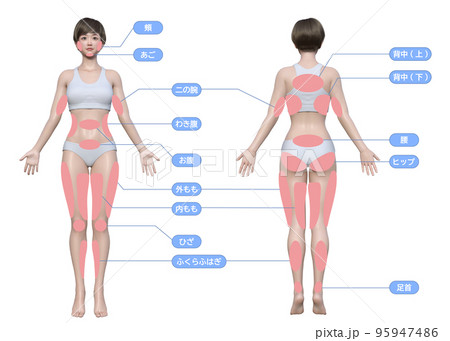 女性が痩せたいボディパーツ部位の全身正面と後ろ姿のイラストセット 95947486