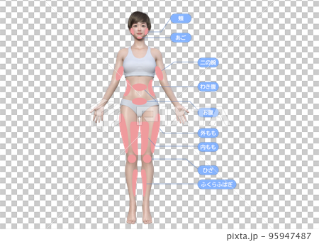 3D model of the parts of the body that women want to lose weight on. Full-body front view of a woman 95947487