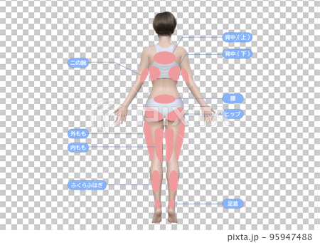 3d model female back with body parts - Stock Illustration [95947488 ...