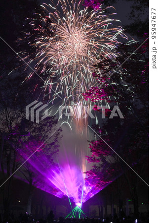 花フェスタ記念公園 花火 95947677