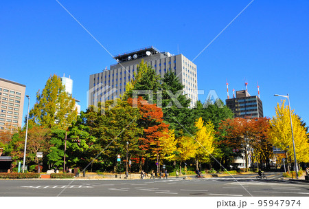 杜の都仙台 青空に紅葉紅葉が映える勾当台公園 杜の都仙台 青空に紅葉紅葉が映える勾当台公園 95947974