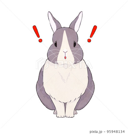 灰うさぎ ダッチ 表情（驚く）のイラスト素材 [95948134] - PIXTA