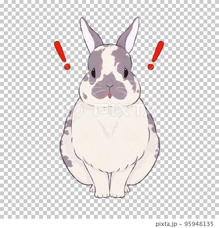 Ash rabbit Broken expression (surprised) Ash rabbit Broken expression (surprised) 95948135