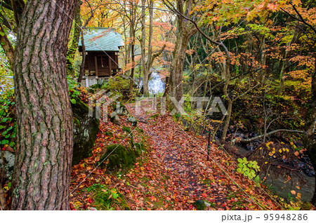 雨に濡れる落ち葉踏み止滝神社へ 秋田県 鹿角市 雨に濡れる落ち葉踏み止滝神社へ 秋田県 鹿角市 95948286