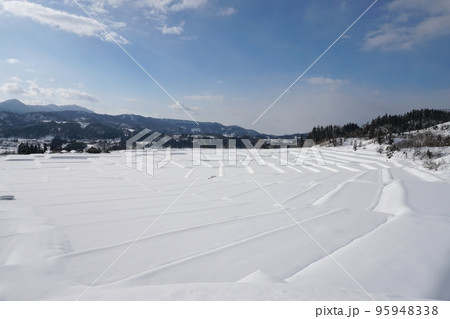 一面雪に覆われた朝日町くぬぎ平棚田の朝　Ver1 95948338