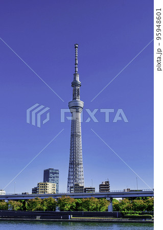 東京スカイツリー　隅田川　隅田公園展望広場からの風景 95948601