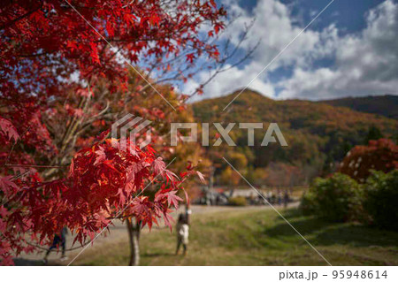 みずがき湖畔 公園の紅葉 みずがき湖畔 公園の紅葉 95948614