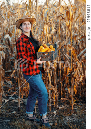 woman farmer with box of dry corn on plantation woman farmer with box of dry corn on plantation 95948615