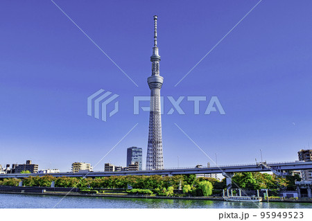 東京スカイツリー 隅田川 隅田公園展望広場からの風景 東京スカイツリー 隅田川 隅田公園展望広場からの風景 95949523