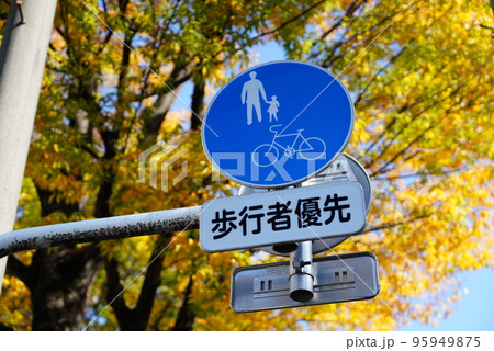 紅葉の中の標識 95949875