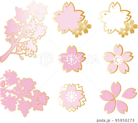 桜の花のイラストセット 桜の花のイラストセット 95950273