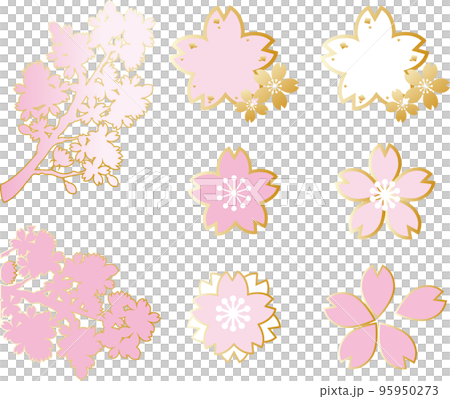 Cherry blossom illustration set Cherry blossom illustration set 95950273