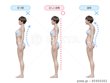 猫背 反り腰 良い姿勢 ナチュラルな3Dモデル女性の全身横向きのイラストセット 95950302