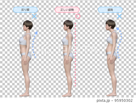 3D female body anatomy stock illustration. Illustration of posture