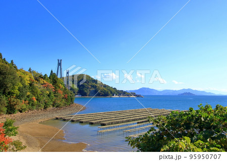 秋が訪れた 大芝島周辺の瀬戸内風景 95950707