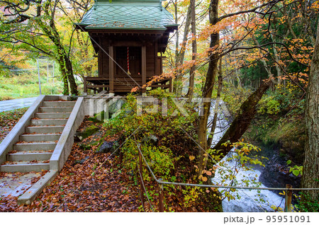 紅葉の止滝神社と止滝 秋田県 鹿角市 紅葉の止滝神社と止滝 秋田県 鹿角市 95951091